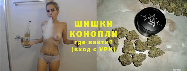 PSILOCYBIN Кодинск