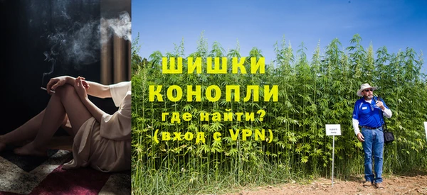 PSILOCYBIN Кодинск