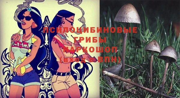 jwh Козловка