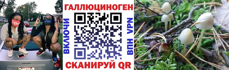где купить наркоту Дзержинск Псилоцибиновые грибы прущие грибы