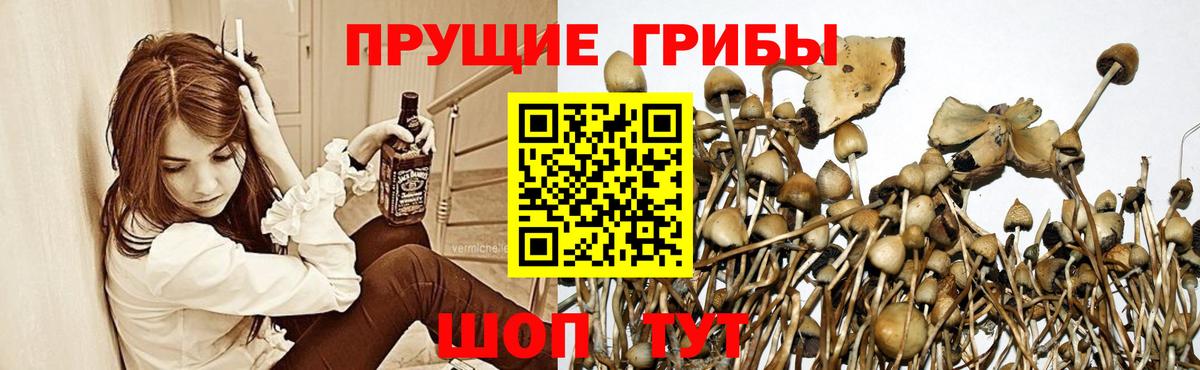 Галлюциногенные грибы MAGIC MUSHROOMS Дзержинск